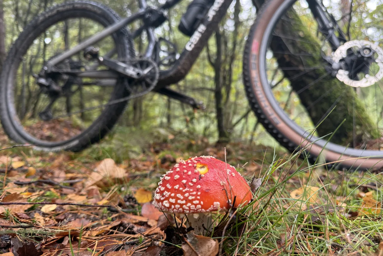 Autumn Mud and Your MTB Drivetrain: What Wet Sand Does to a Chain, Cassette and Derailleur